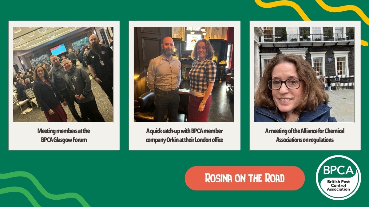 RosinaontheRoad2 RosinaontheRoad2